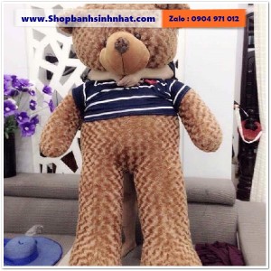 Gấu Bông Teddy Hàn Quốc - GAU56